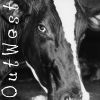 Download track Calving