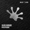 Download track Prophere (Radio Edit)