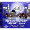 Download track Medineye Varamadım