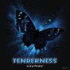 Download track Tenderness (Silences Version)