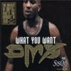 Download track What You Want (Radio Version)