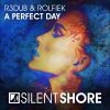 Download track A Perfect Day (Original Mix)