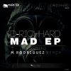 Download track Mad (M. Rodriguez Remix)