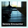 Download track Euphonious Sound Of A Piano