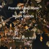 Download track Peaceful Sleep Music And Nature Sounds Part XV