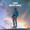 Download track Sans Importance