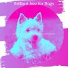 Download track Vivacious Dog Walking