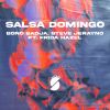 Download track Salsa Domingo (Radio Mix)