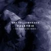 Download track Valkyrie (Audiomatiques Remix)