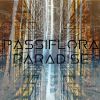 Download track Passiflora Paradise