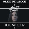 Download track Tell Me Why (Luke Db, Erik Stefler & Lndr Remix)