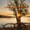 Download track Serene Reflection Euphony