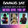 Download track Never Give You Up