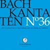 Download track Bach: Mein Gott, Wie Lang, Ach Lange, BWV 155: No. 3, So Sei, O Seele, Sei Zufrieden (Live)