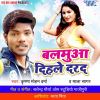 Download track Kaam Nahi Kare Haradiya