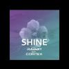 Download track Shine (Radio Edit)