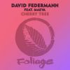 Download track Cherry Tree (David Federmann Classic House Mix)