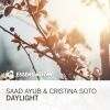 Download track Daylight (Amir Hussain Extended Mix)