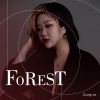 Download track Forest (Instrumental)