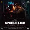 Download track Rockstar Robber (Sindhubaadh)