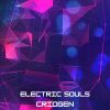 Download track Electric Souls