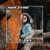 Download track DIANA (Instrumental)