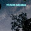 Download track Wicked Dreams