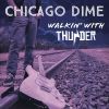 Download track Walkin' With Thunder