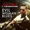 Download track Evil Woman Blues