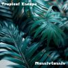 Download track Tropical Bliss