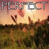 Download track Perfect - Tribute To Ed Sheeran (Instrumental Version)