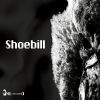 Download track Shoebill