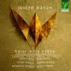 Download track Trio No. 17 In F Major, Hob XV II. Finale Tempo Di Minuetto