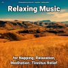Download track Lovely Zen Music To Chill Out