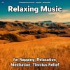 Download track Dreamlike Ambient Music