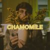 Download track Chamomile