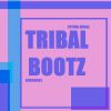 Download track Tribalbootz (Core Drum Mix)