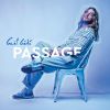 Download track Les Amis De Passage