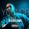 Download track BIG DREAMS