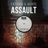 Download track Assault (Original Mix)