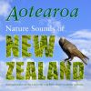 Download track Pacific Shores (Kaikoura, Oamaru & Otago – With Little Blue & Yellow-Eyed Penguins)