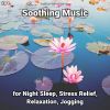 Download track Soothing Music, Pt. 58