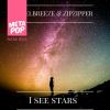 Download track I SEE STARS (DJ MIMMINO REMIX)