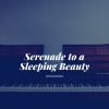 Download track Serenade To A Sleeping Beauty