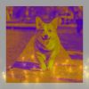 Download track Scintillating Ambiance For Calming Dogs