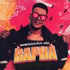 Download track Bregadão Do Rapha