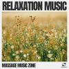 Download track Soothing Spa Music