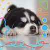 Download track Retro Ambiance For Sleepy Pups