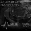 Download track Cranky Kitty