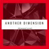 Download track Another Dimension (Live)